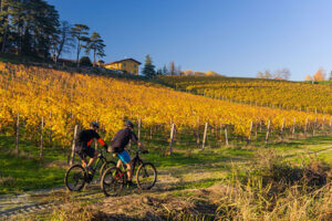 Pedalando tra i vigneti del Piemonte