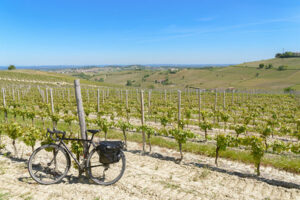 Pedalando tra i vigneti del Piemonte
