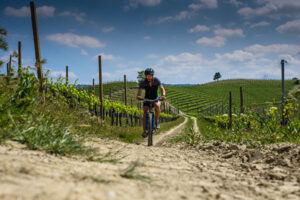 Pedalando tra i vigneti del Piemonte