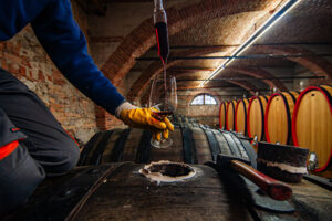 Pedalando tra i vigneti del Piemonte